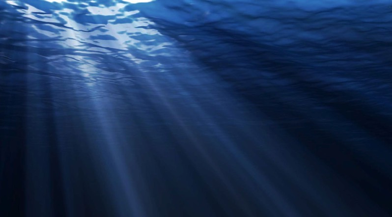 Stacks Image 854
